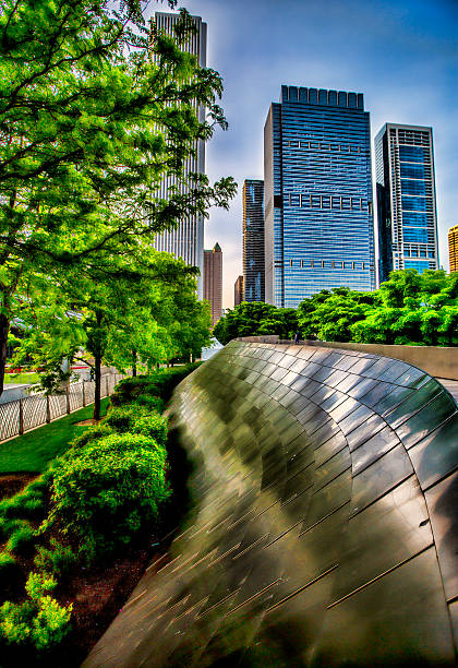 Chicago View from The Park View of Chicago from the Park millennium park stock pictures, royalty-free photos & images