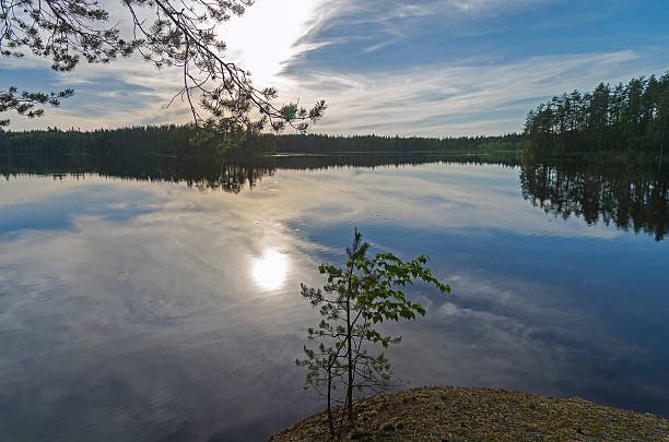 istock The evening sun is reflected in a small lake 542821530