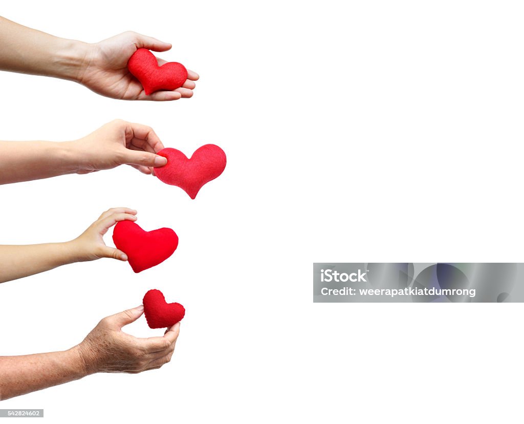 Family Love Family love isolated. Family members - father, mother, child, and grandmother holding red hearts on isolated background Heart Shape Stock Photo