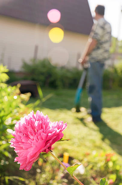 Cutting the grass in the garden