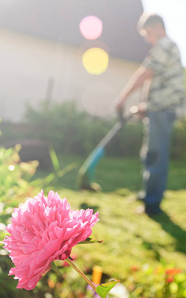 istock Cutting the grass in the garden 542825056