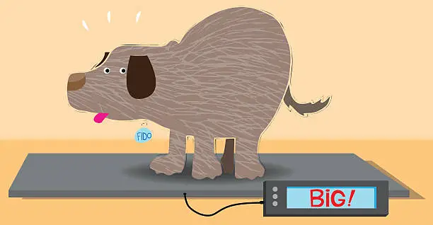 Vector illustration of Overweight dog on an animal weight scale