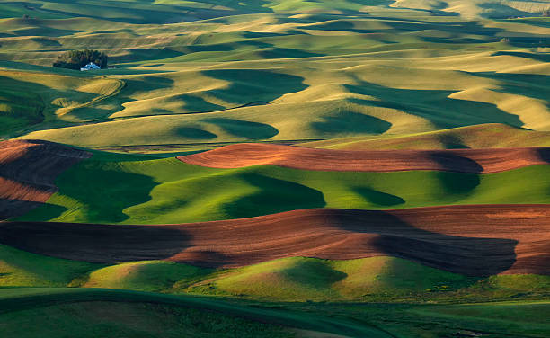 istock Sunrise Steptoe Butte, Wa. 542827384