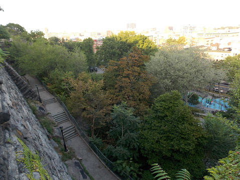 A view of the many steps and trees, as well as a peek at a children's playground, in Morningside Park from the west edge of the park looking down. City buildings can barely be seen beyond the trees.