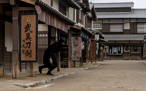 istock Japanese Ninja in Kyoto 542829576