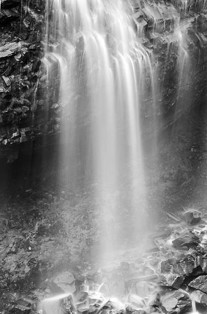 istock Waterfall in Mount Rainier National Park 542831594