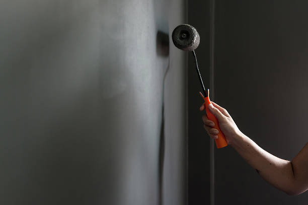 hand holding paint roller applying grey paint on wall. - brushing human hand paintbrush artist imagens e fotografias de stock