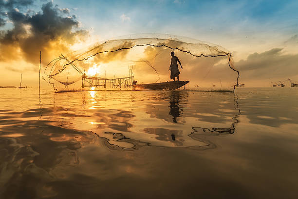 istock Fisherman throwing fishing net during sunrise 542831960