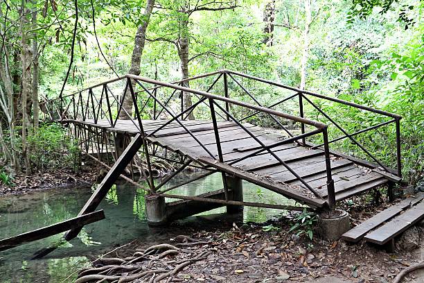 istock Wooden bridge in forest 542832404