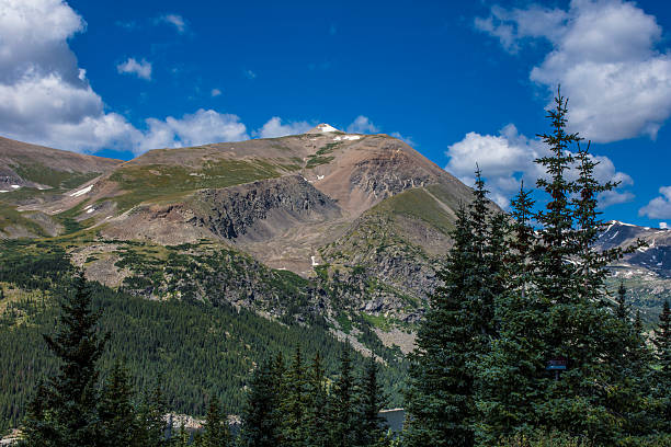 istock Rocky Mountain Alpine Meadow 542832654