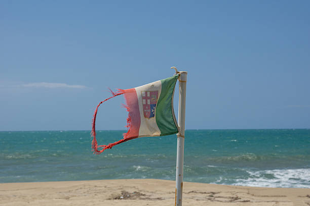 istock Beach of Calabria 542833076