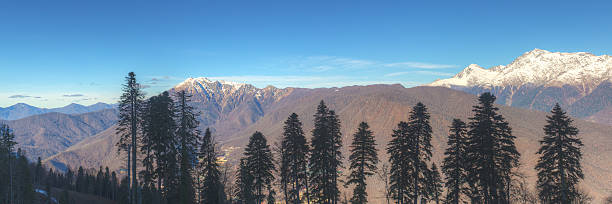 istock peaks of the mountain and trees 542833776