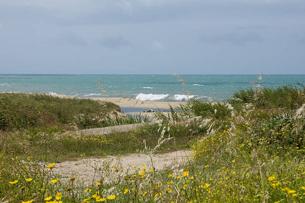 istock Beach of Calabria 542834558