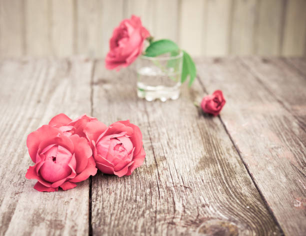 Rosa Roja Flores Sobre Mesa De Madera Fondo Floral Vintage Foto de stock y más banco de imágenes de Anticuado - iStock Rosa Roja Flores Sobre Mesa De Madera Fondo Floral Vintage Foto de stock y más banco de imágenes de Anticuado - iStock