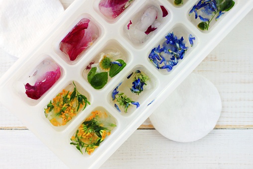  summer refreshing skincare. Various fresh frozen herbs flowers, cotton pads, top view. 
