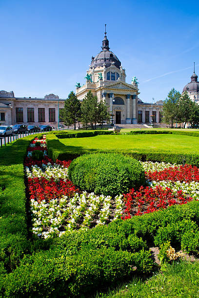 istock Szechenyi Furdo in Budapest 542928216