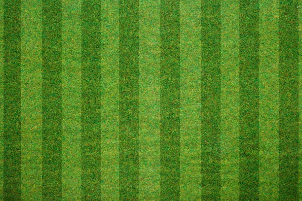 istock soccerball field green grass background. Flat lay 542928984