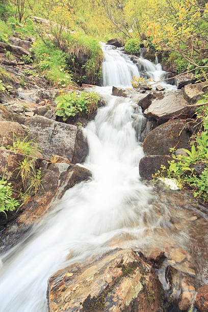 istock Beautiful waterfall in the mountains during the summer. 542929946