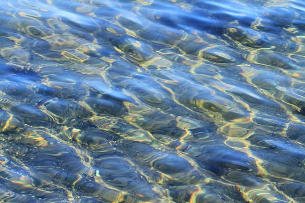 istock Blurred colors in the shallow water 542930498