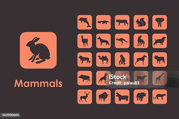 Set Of Mammals Simple Icons Stock Illustration - Download Image Now - Abstract, Cheetah, Clip Art