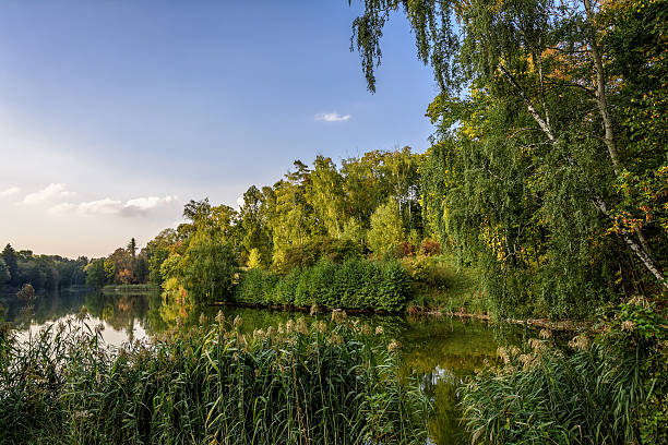 istock Autumn park. Trostianets, Ukraine. 542930770