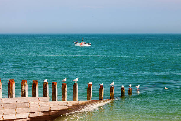 istock Selsey Bill West Sussex England 542932070