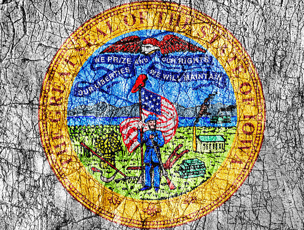 istock Grudge stone painted US Iowa seal flag 542932900