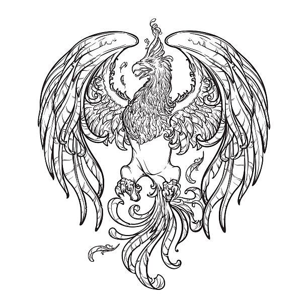 75 Flaming Phoenix Tattoo Drawings Illustrations & Clip Art - iStock