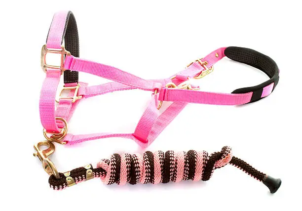 pink halter in front of white background