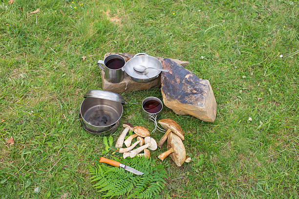 istock Camping in a mountainous area with cooking equipment. 542934990