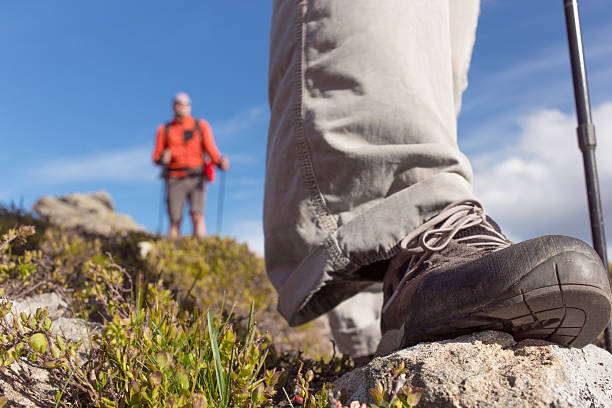 istock Hiking in the mountains in the summer. 542936774