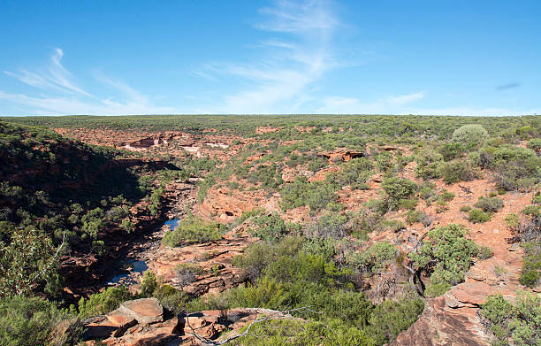 istock Colours of Bushland 542938360