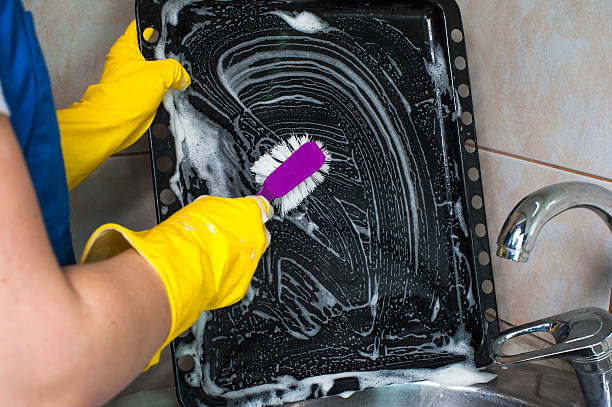istock Woman cleaning pan with brush 542938410