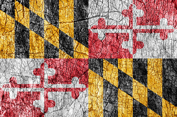 istock Grudge stone painted US Maryland flag 542938696