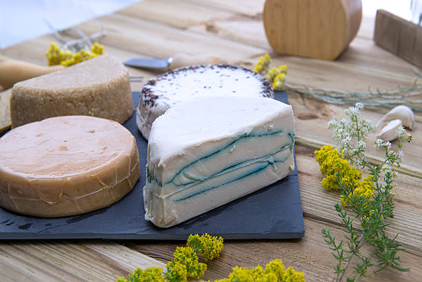 istock Vegan variety of cheeses 542939916