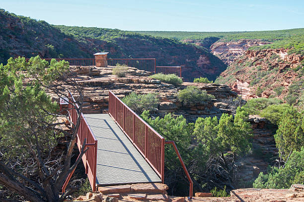 istock Kalbarri Z-Bend Lookout 542940806