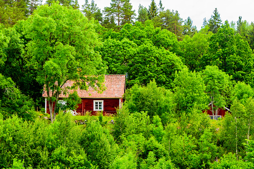 Small red cottage in the middle of the forest surrounded by trees. A lovely hideaway for some loneliness.