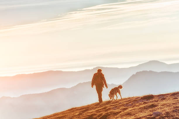 istock Man walking with his dog in the mountains 542942174