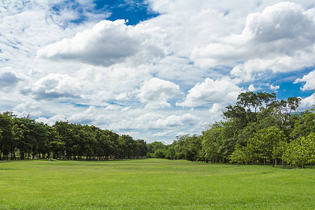 Parco cittadino al Vachirabenjatas Park, Bangkok, Thailandia - foto stock