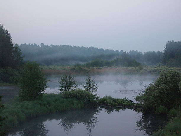 istock The river in the summer fog. 542943574