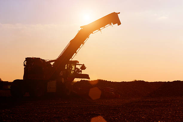 macchine agricole al tramonto - beet sugar tractor field foto e immagini stock
