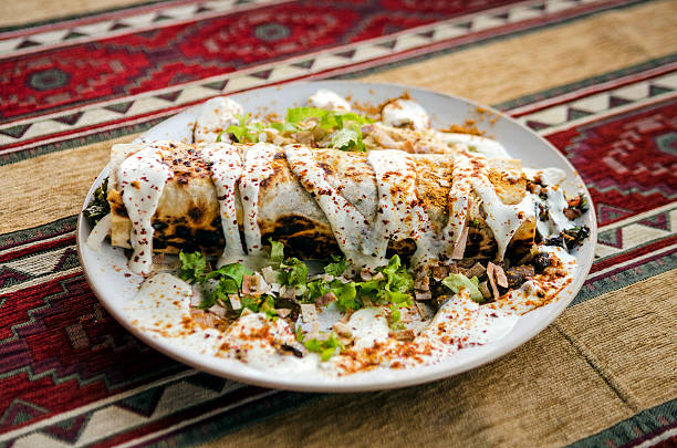 kebeb shawarma gyro chicken wrap plate snack meal with garlic sauce and spices