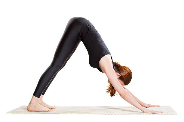 istock Yoga Downward Facing Dog Pose - Adho Mukha Svanasana 542946852