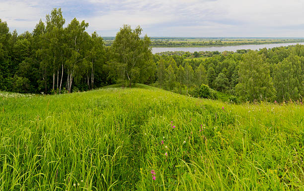 río oka cerca de staraja ryazan pueblo. rusia central, región de riazán - spaciousness fotografías e imágenes de stock