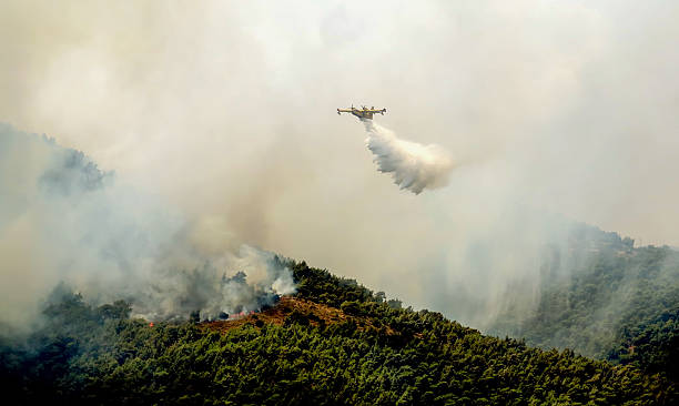 istock Fire in forest areas in Viotia in Central Greece 542951176