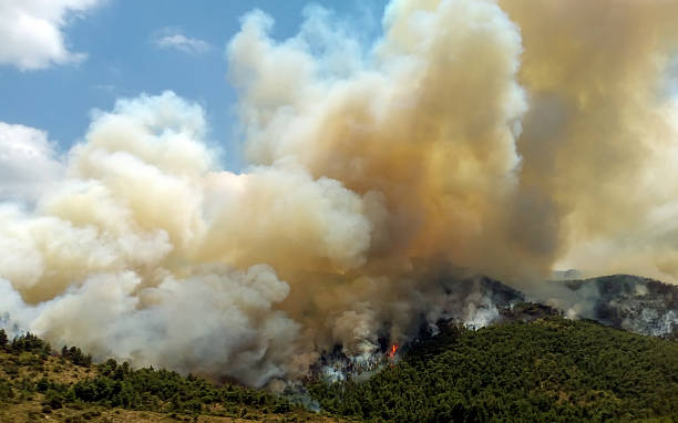 istock Fire in forest areas in Viotia in Central Greece 542951324