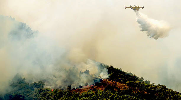 istock Fire in forest areas in Viotia in Central Greece 542951538