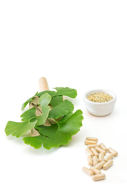 ginkgo kapseln - herbal medicine ginkgo herb capsule stock-fotos und bilder