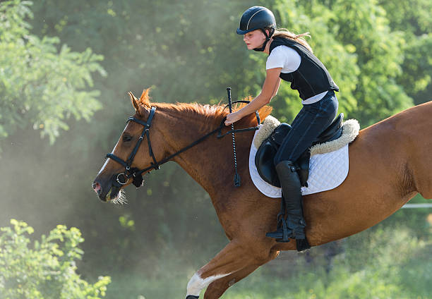 show jumping competition