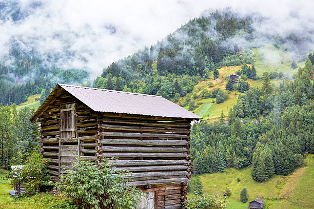istock Green valley with trees and barn in European Alps, Austria 542954070